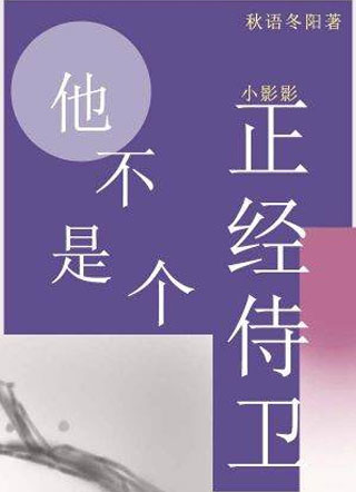 他不是个正经侍卫小说