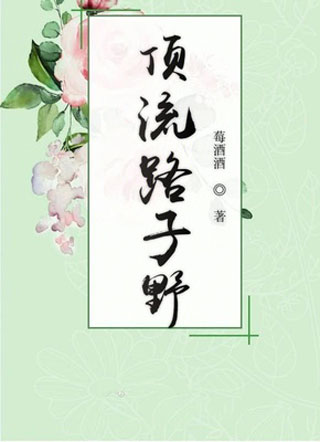 顶流路子野小说