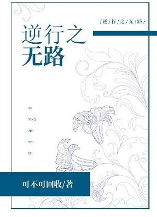 逆行之无路小说