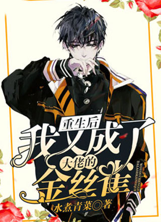 重生后我又成了大佬的金丝雀小说