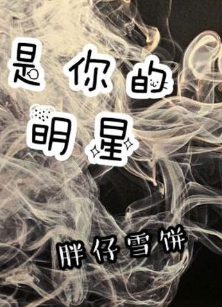 是你的明星小说