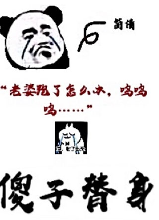 傻子替身小说小说