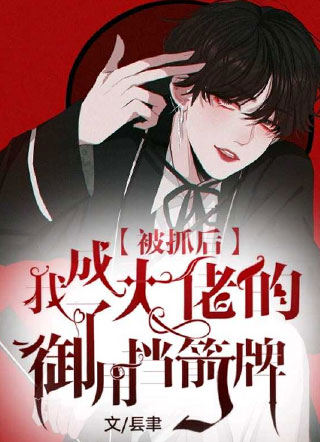 被抓后我成了大佬的御用挡箭牌小说小说