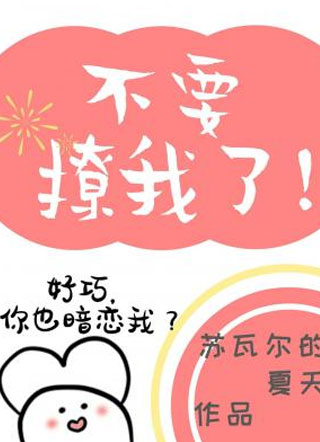 不要撩我了小说小说