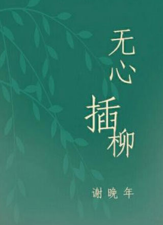 无心插柳小说