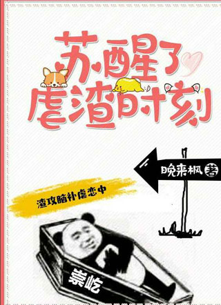 苏醒了，虐渣时刻小说