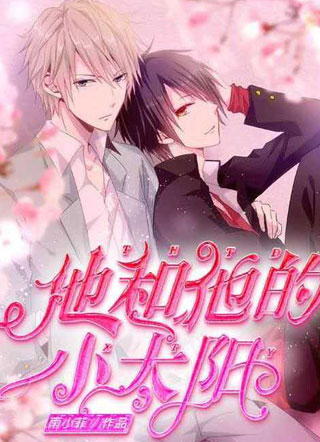 他和他的小太阳小说