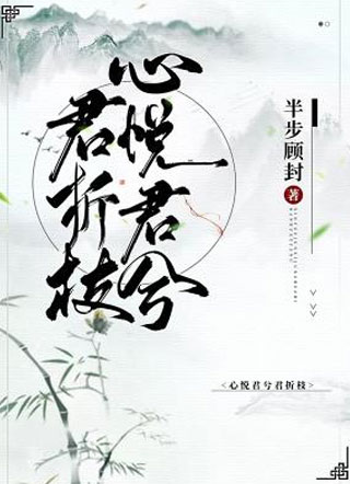 心悦君兮君折枝小说