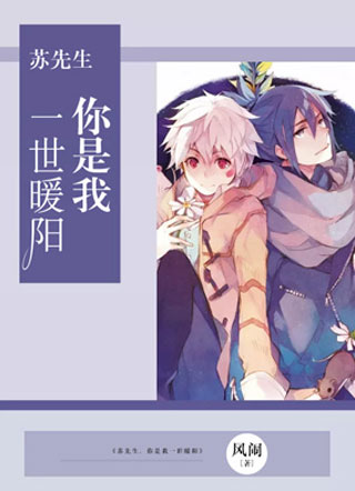 苏先生，你是我一世暖阳小说