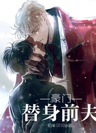 豪门替身前夫小说