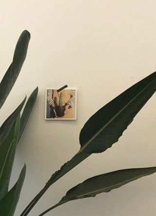 玉树之下是云亭小说小说
