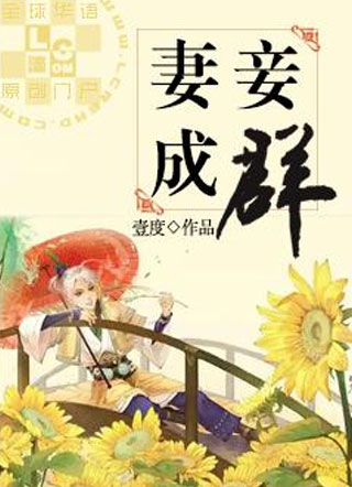 妻妾成群小说