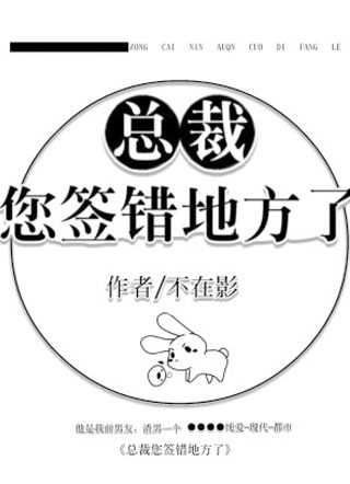 总裁您签错地方了小说