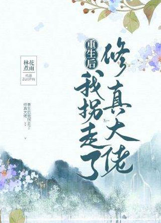 重生后我拐走了修真大佬小说小说