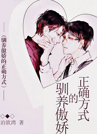 驯养傲娇的正确方式小说