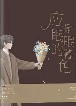 应是未眠的暮色小说