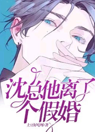 沈总他离了个假婚小说