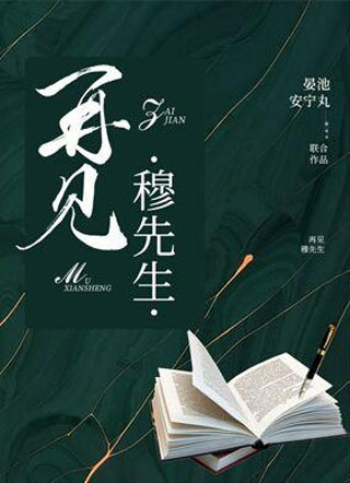 再见穆先生小说小说