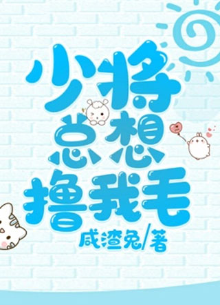 少将总想撸我毛小说