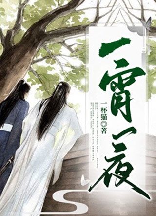 一宵一夜小说