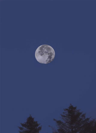 重生豪门成男妻！小说