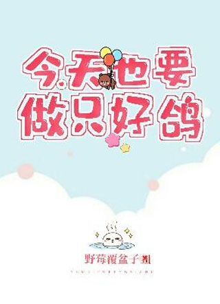 今天也要做只好鸽小说