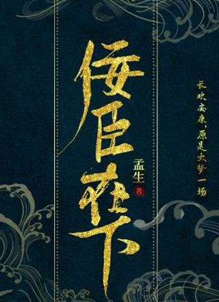 佞臣在下小说