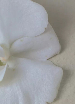 与渣攻正面对决的日子.小说