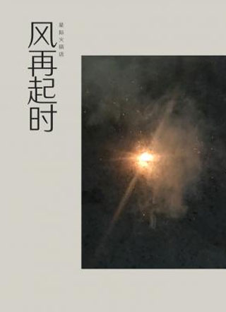 风再起时小说