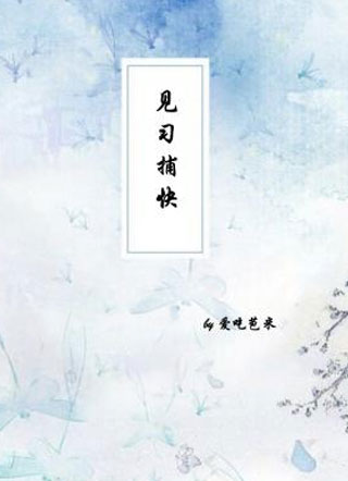 见习捕快小说