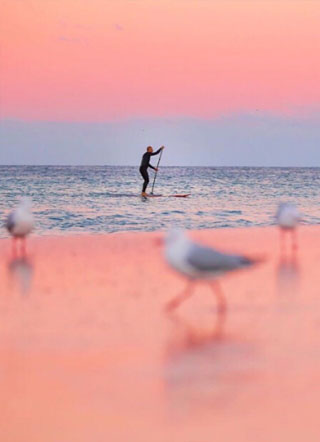 离婚后我怀了崽小说