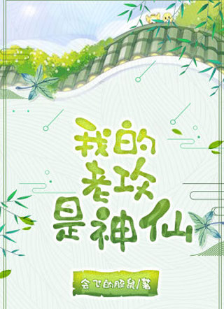 我的老攻是神仙小说小说