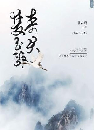 寿君双玉瓯小说