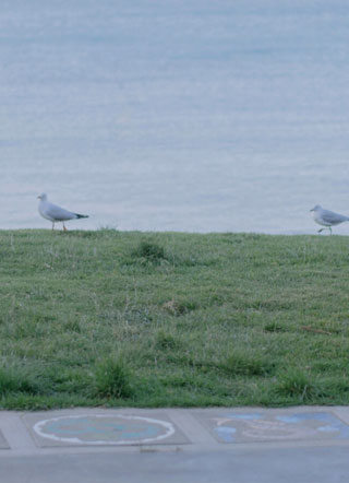 柳淮洛江迟小说小说