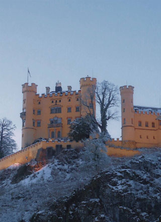 林辛贺元小说小说