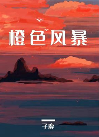 橙色风暴小说