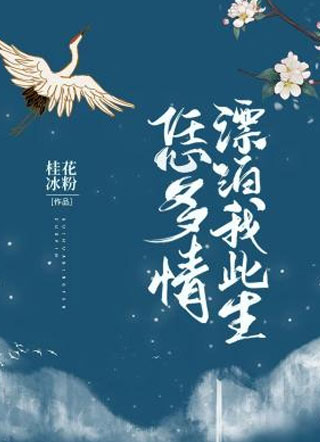 漂泊我此生恁多情小说