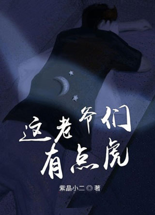 这老爷们有点虎小说