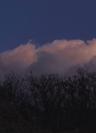 灵度电话亭小说