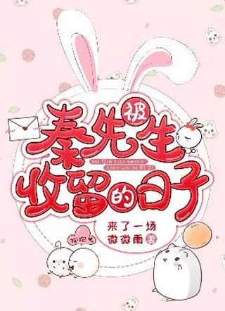 被秦先生收留的日子小说小说