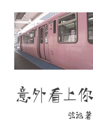 意外看上你小说