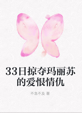 33日掠夺玛丽苏的爱恨情仇小说
