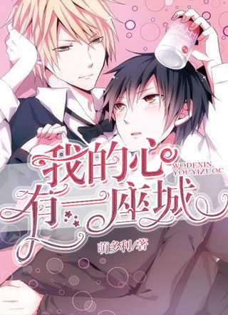 我的心有一座城.小说