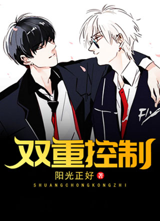 双重控制小说