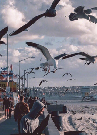 你和照片不一样.小说