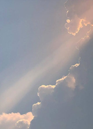 捡到死对头后我转运了.小说