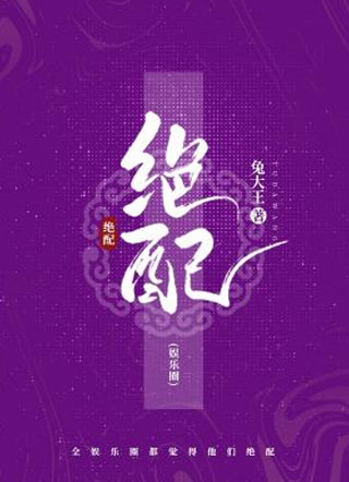 绝配小说