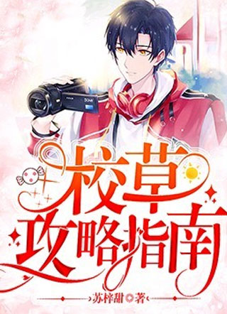 校草攻略指南小说