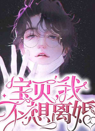 宝贝，我不想离婚小说小说