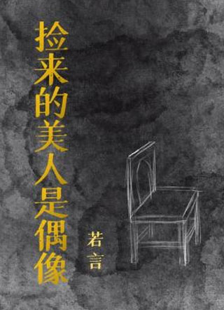 捡来的美人是偶像小说